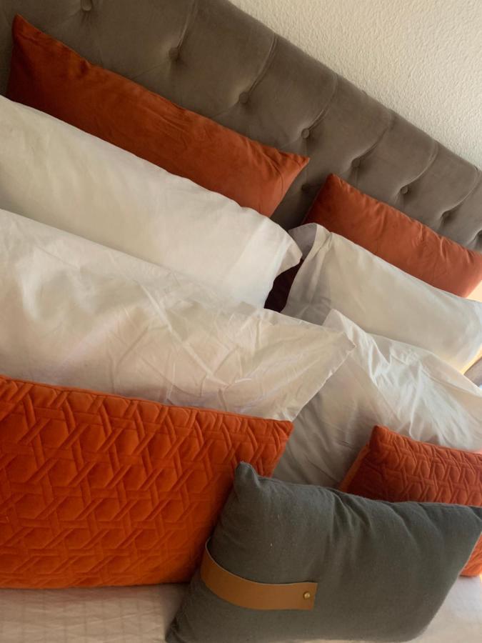 Appartement Cosy Le Safari Avec Wifi Annonay Buitenkant foto